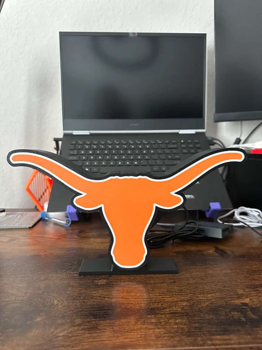 Texas Longhorns Lightbox