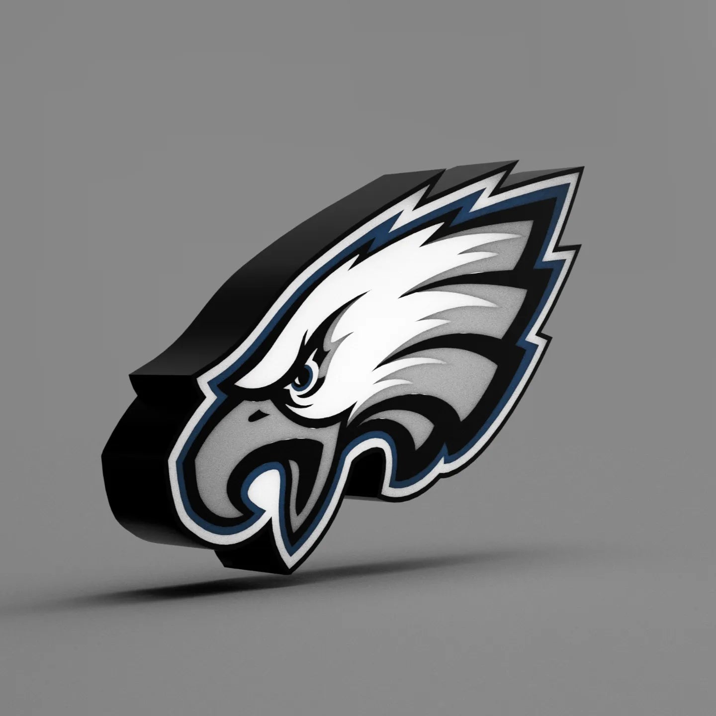 Philadelphia Eagles Lightbox