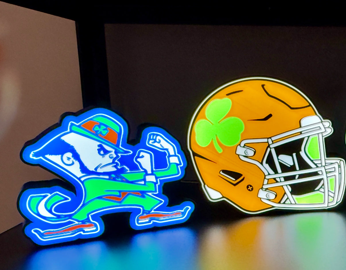 Notre Dame Lightbox